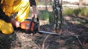 Best Aeration Services  in Sheridan, WY